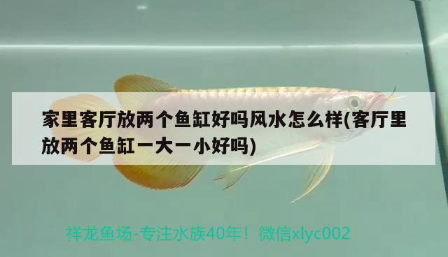 家里客廳放兩個魚缸好嗎風(fēng)水怎么樣(客廳里放兩個魚缸一大一小好嗎)