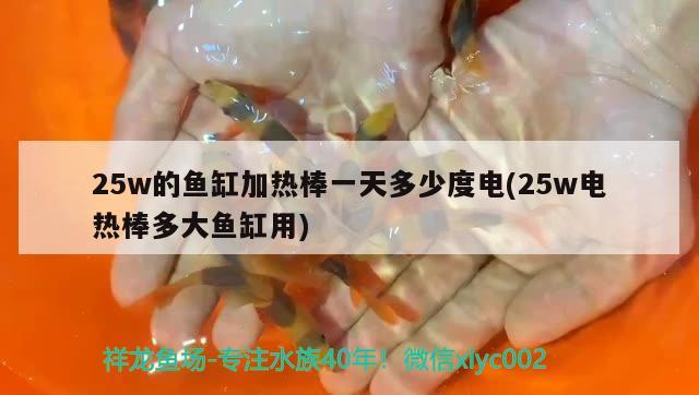 25w的魚缸加熱棒一天多少度電(25w電熱棒多大魚缸用) 胭脂孔雀龍魚