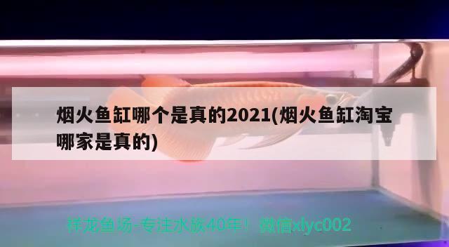 煙火魚缸哪個是真的2021(煙火魚缸淘寶哪家是真的)