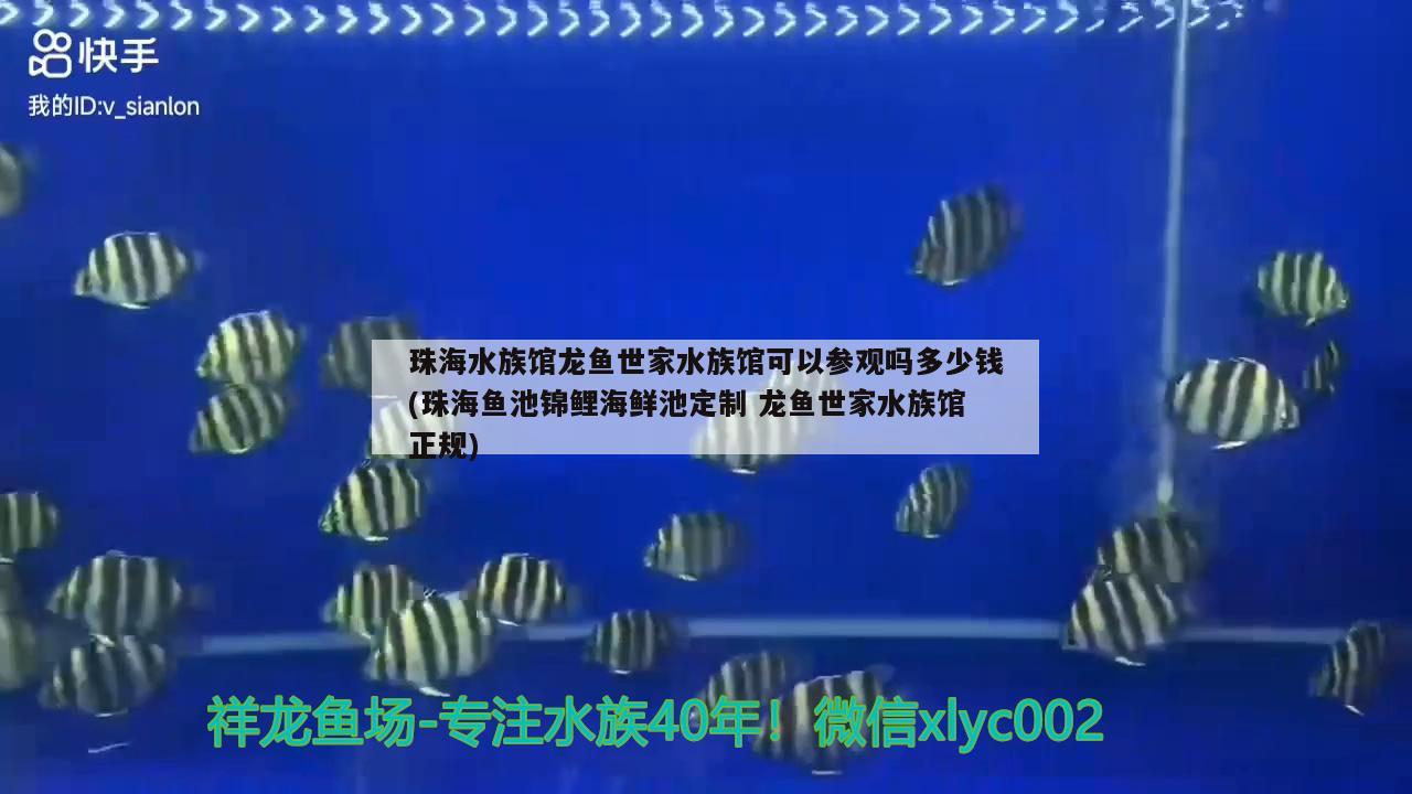 珠海水族館龍魚世家水族館可以參觀嗎多少錢(珠海魚池錦鯉海鮮池定制龍魚世家水族館正規(guī))