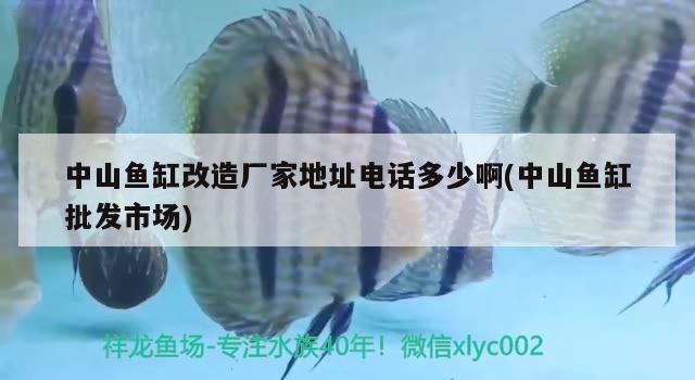 中山魚缸改造廠家地址電話多少啊(中山魚缸批發(fā)市場)