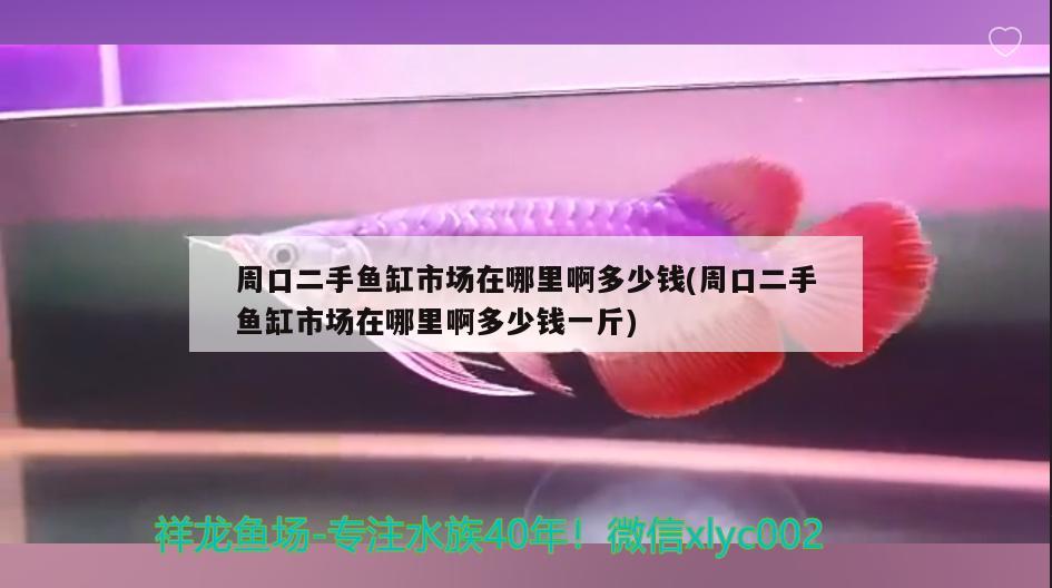 周口二手魚缸市場在哪里啊多少錢(周口二手魚缸市場在哪里啊多少錢一斤)