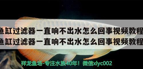 魚(yú)缸過(guò)濾器一直響不出水怎么回事視頻教程(魚(yú)缸過(guò)濾器一直響不出水怎么回事視頻教程)