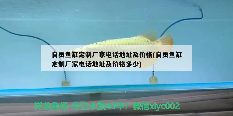 自貢魚缸定制廠家電話地址及價(jià)格(自貢魚缸定制廠家電話地址及價(jià)格多少)