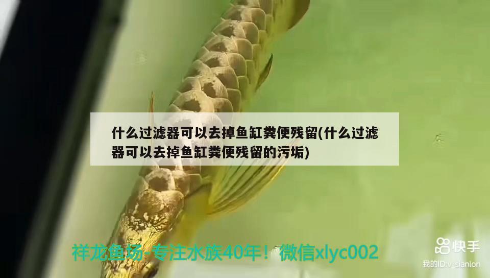 什么過濾器可以去掉魚缸糞便殘留(什么過濾器可以去掉魚缸糞便殘留的污垢)