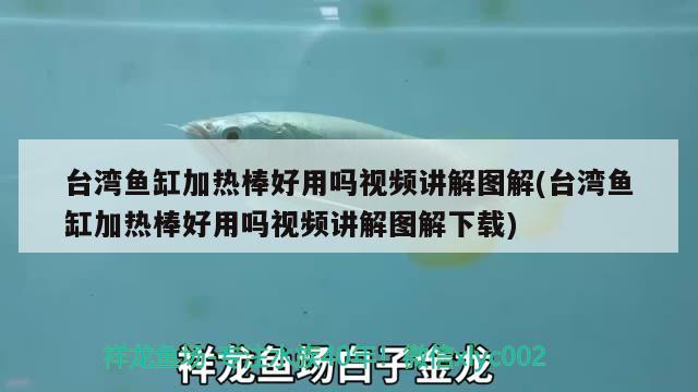 臺(tái)灣魚缸加熱棒好用嗎視頻講解圖解(臺(tái)灣魚缸加熱棒好用嗎視頻講解圖解下載)