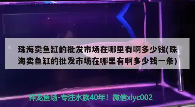 珠海賣魚缸的批發(fā)市場在哪里有啊多少錢(珠海賣魚缸的批發(fā)市場在哪里有啊多少錢一條)