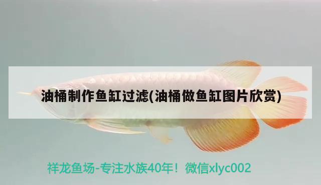 油桶制作魚缸過濾(油桶做魚缸圖片欣賞)