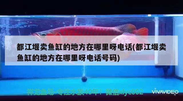 都江堰賣魚缸的地方在哪里呀電話(都江堰賣魚缸的地方在哪里呀電話號碼)