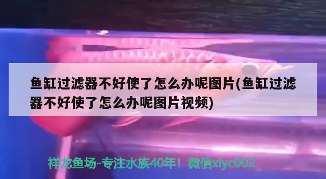 魚缸過濾器不好使了怎么辦呢圖片(魚缸過濾器不好使了怎么辦呢圖片視頻) 馬拉莫寶石魚