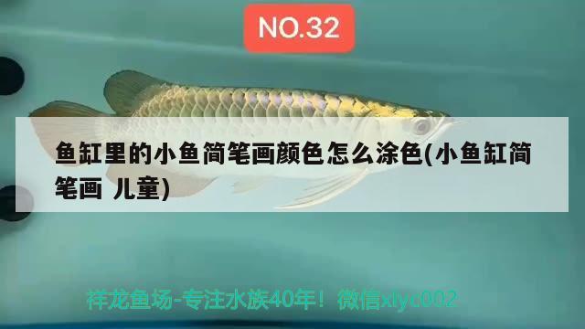 魚缸里的小魚簡筆畫顏色怎么涂色(小魚缸簡筆畫兒童) 帝王血鉆