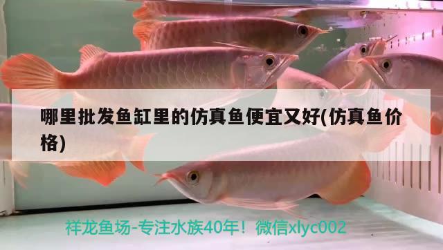 哪里批發(fā)魚缸里的仿真魚便宜又好(仿真魚價格) 星點金龍魚