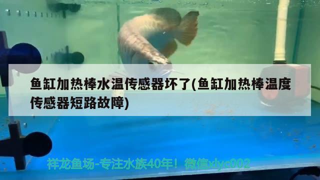 魚缸加熱棒水溫傳感器壞了(魚缸加熱棒溫度傳感器短路故障)