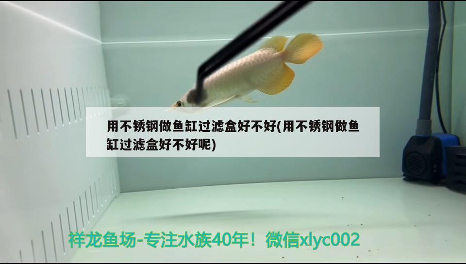 用不銹鋼做魚缸過濾盒好不好(用不銹鋼做魚缸過濾盒好不好呢) 檸檬鯽