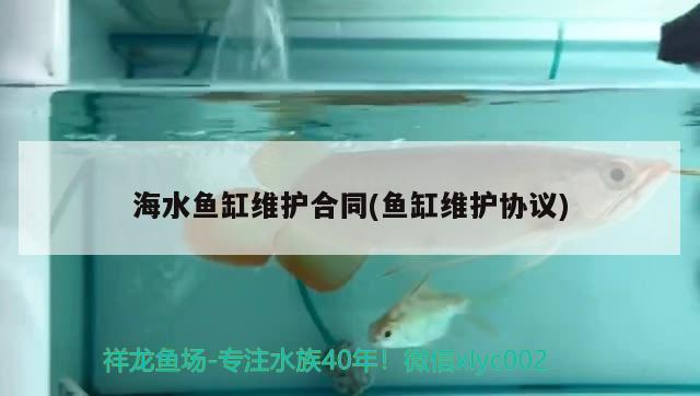 海水魚缸維護合同(魚缸維護協議)