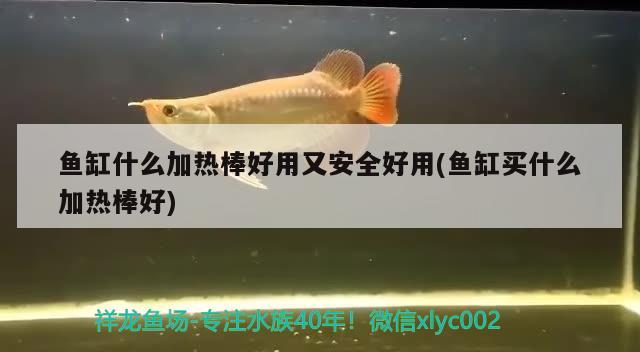 魚缸什么加熱棒好用又安全好用(魚缸買什么加熱棒好) 祥龍水族護(hù)理水