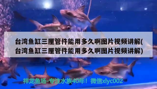 臺灣魚缸三厘管件能用多久啊圖片視頻講解(臺灣魚缸三厘管件能用多久啊圖片視頻講解) 魚缸風(fēng)水