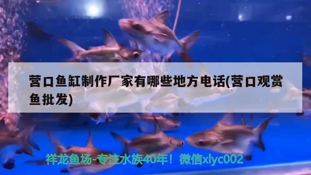 營口魚缸制作廠家有哪些地方電話(營口觀賞魚批發(fā))