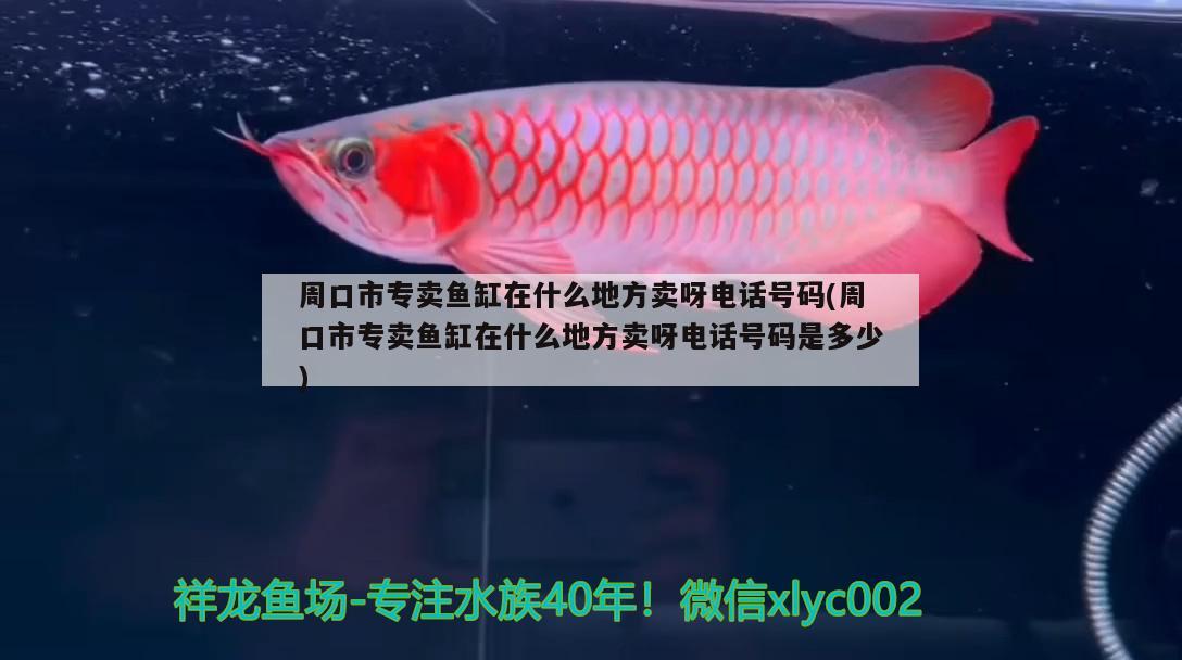 周口市專賣魚缸在什么地方賣呀電話號碼(周口市專賣魚缸在什么地方賣呀電話號碼是多少) 潛水艇魚