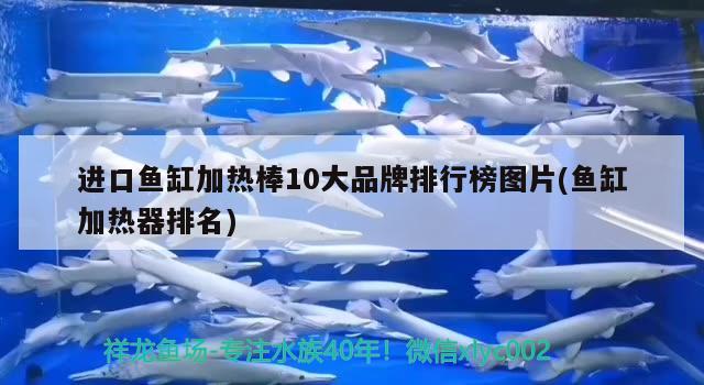 進(jìn)口魚缸加熱棒10大品牌排行榜圖片(魚缸加熱器排名)