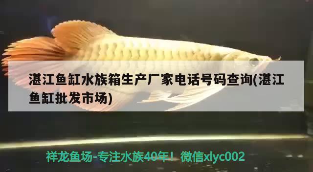 湛江魚缸水族箱生產(chǎn)廠家電話號碼查詢(湛江魚缸批發(fā)市場)