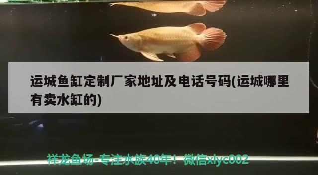 運(yùn)城魚缸定制廠家地址及電話號(hào)碼(運(yùn)城哪里有賣水缸的)