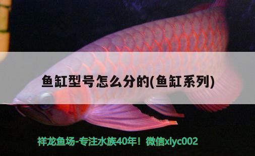 魚(yú)缸型號(hào)怎么分的(魚(yú)缸系列) 水族燈（魚(yú)缸燈）