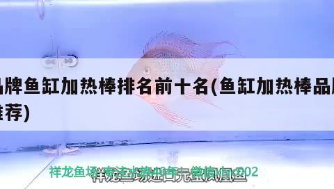 品牌魚缸加熱棒排名前十名(魚缸加熱棒品牌推薦)