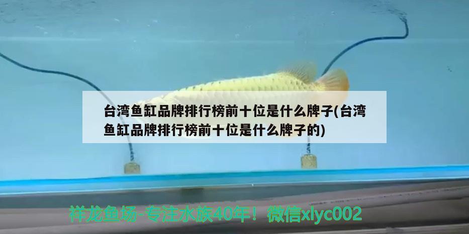 臺(tái)灣魚(yú)缸品牌排行榜前十位是什么牌子(臺(tái)灣魚(yú)缸品牌排行榜前十位是什么牌子的) 藍(lán)底過(guò)背金龍魚(yú)