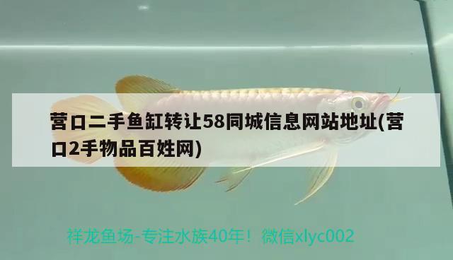 營口二手魚缸轉(zhuǎn)讓58同城信息網(wǎng)站地址(營口2手物品百姓網(wǎng))