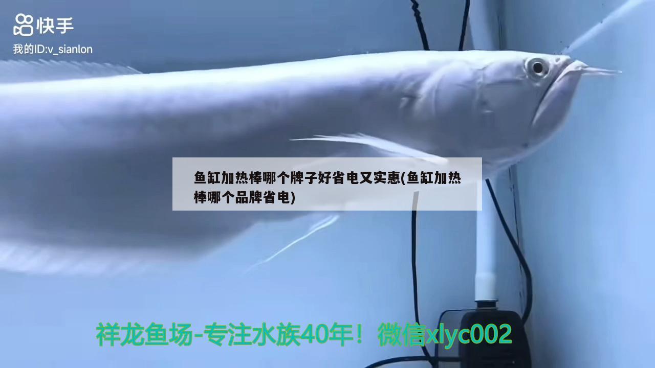 魚缸加熱棒哪個牌子好省電又實惠(魚缸加熱棒哪個品牌省電)