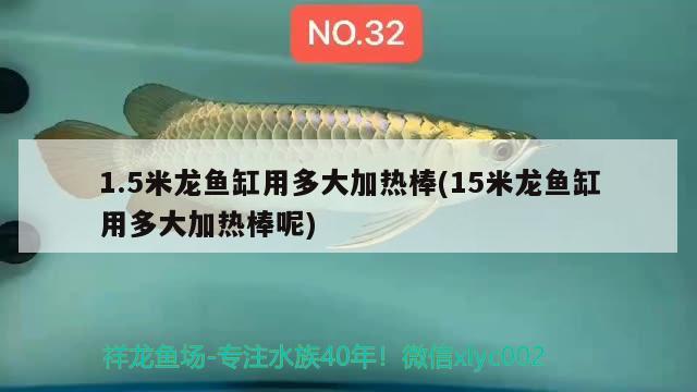 1.5米龍魚缸用多大加熱棒(15米龍魚缸用多大加熱棒呢)