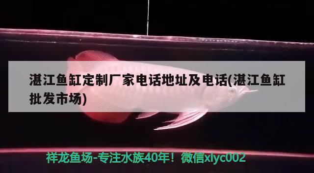 湛江魚缸定制廠家電話地址及電話(湛江魚缸批發(fā)市場(chǎng))