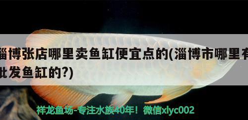 淄博張店哪里賣魚缸便宜點(diǎn)的(淄博市哪里有批發(fā)魚缸的?) 非洲象鼻魚