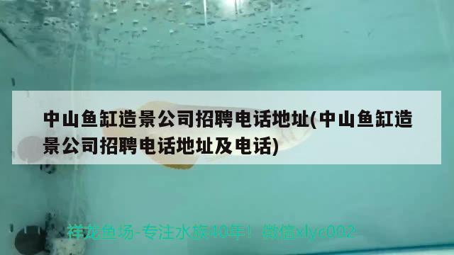 中山魚缸造景公司招聘電話地址(中山魚缸造景公司招聘電話地址及電話)