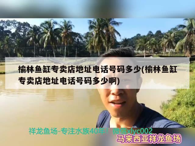 榆林魚缸專賣店地址電話號碼多少(榆林魚缸專賣店地址電話號碼多少啊)