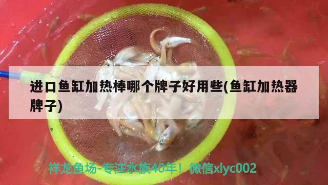 進口魚缸加熱棒哪個牌子好用些(魚缸加熱器牌子) 龍魚芯片掃碼器