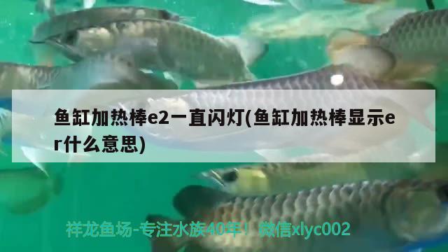 魚缸加熱棒e2一直閃燈(魚缸加熱棒顯示er什么意思)