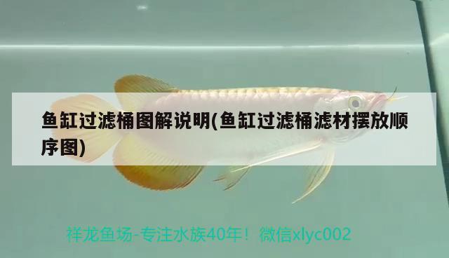 魚缸過(guò)濾桶圖解說(shuō)明(魚缸過(guò)濾桶濾材擺放順序圖)