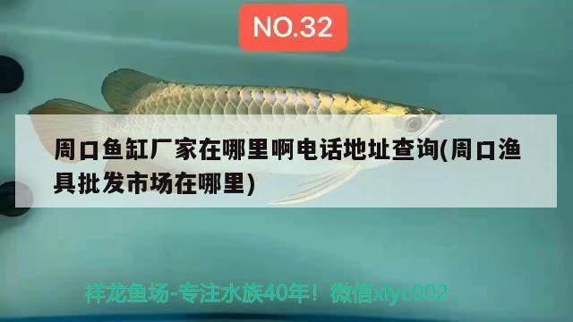 周口魚缸廠家在哪里啊電話地址查詢(周口漁具批發(fā)市場在哪里)