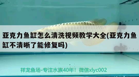 亞克力魚缸怎么清洗視頻教學(xué)大全(亞克力魚缸不清晰了能修復(fù)嗎) 刀魚魚