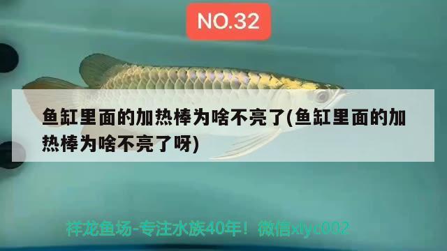 魚缸里面的加熱棒為啥不亮了(魚缸里面的加熱棒為啥不亮了呀) 祥龍赫舞紅龍魚