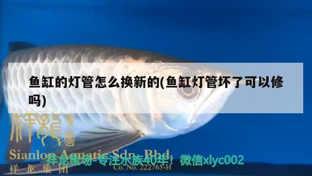 魚缸的燈管怎么換新的(魚缸燈管壞了可以修嗎)