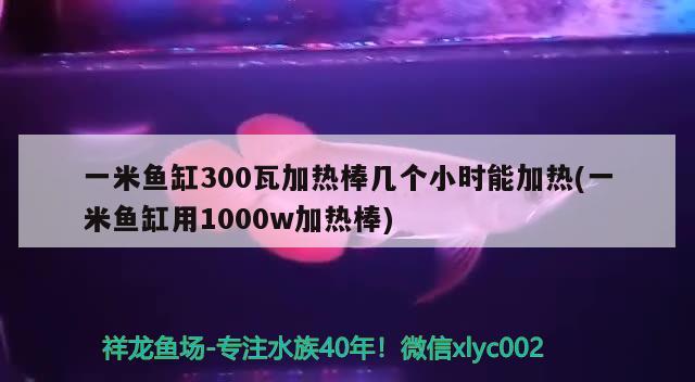 一米魚缸300瓦加熱棒幾個(gè)小時(shí)能加熱(一米魚缸用1000w加熱棒) 黃金夢(mèng)幻雷龍魚