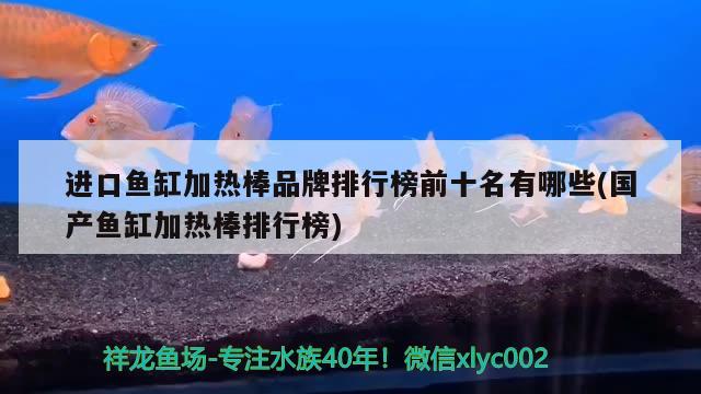 進(jìn)口魚缸加熱棒品牌排行榜前十名有哪些(國產(chǎn)魚缸加熱棒排行榜)