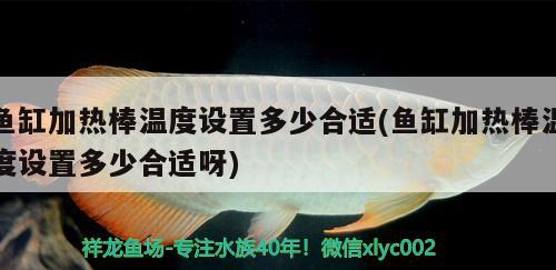 魚缸加熱棒溫度設(shè)置多少合適(魚缸加熱棒溫度設(shè)置多少合適呀)