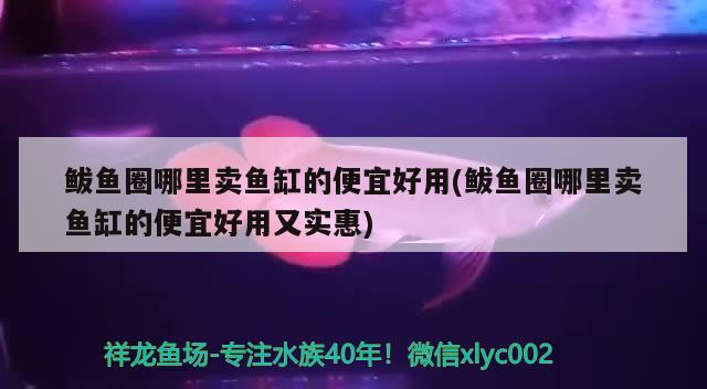 鲅魚圈哪里賣魚缸的便宜好用(鲅魚圈哪里賣魚缸的便宜好用又實惠)