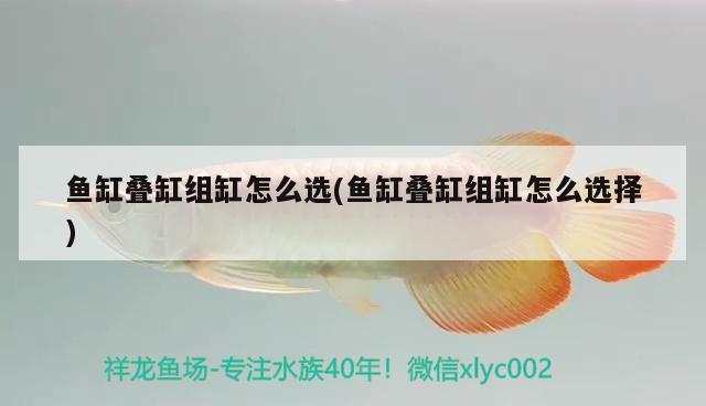 魚缸疊缸組缸怎么選(魚缸疊缸組缸怎么選擇) 一眉道人魚苗