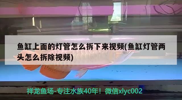 魚缸上面的燈管怎么拆下來視頻(魚缸燈管兩頭怎么拆除視頻) 白玉紅龍魚