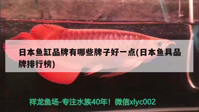 日本魚缸品牌有哪些牌子好一點(diǎn)(日本魚具品牌排行榜) 照明器材